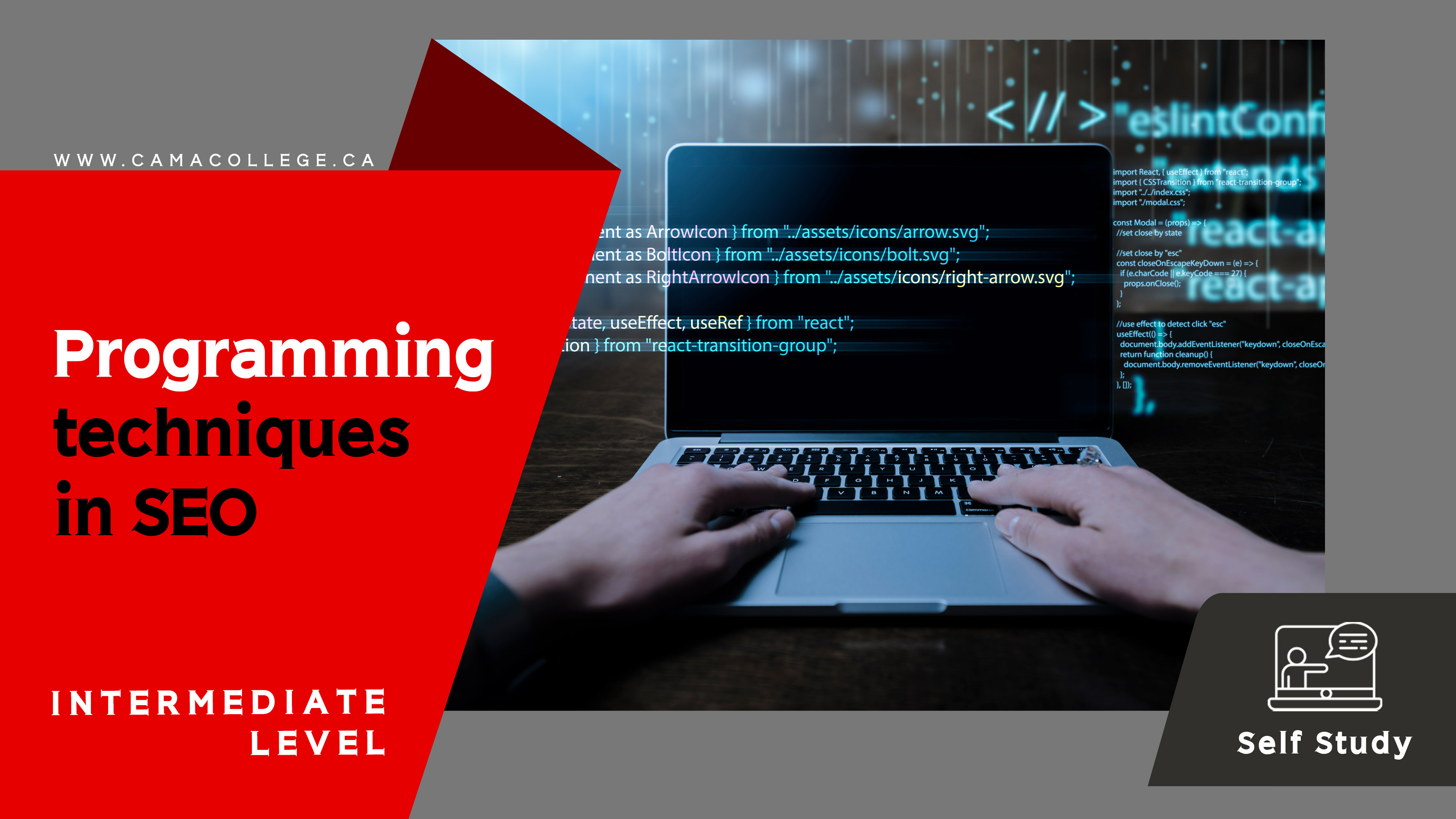 Programming-Techniques-in-SEO-Intermediate