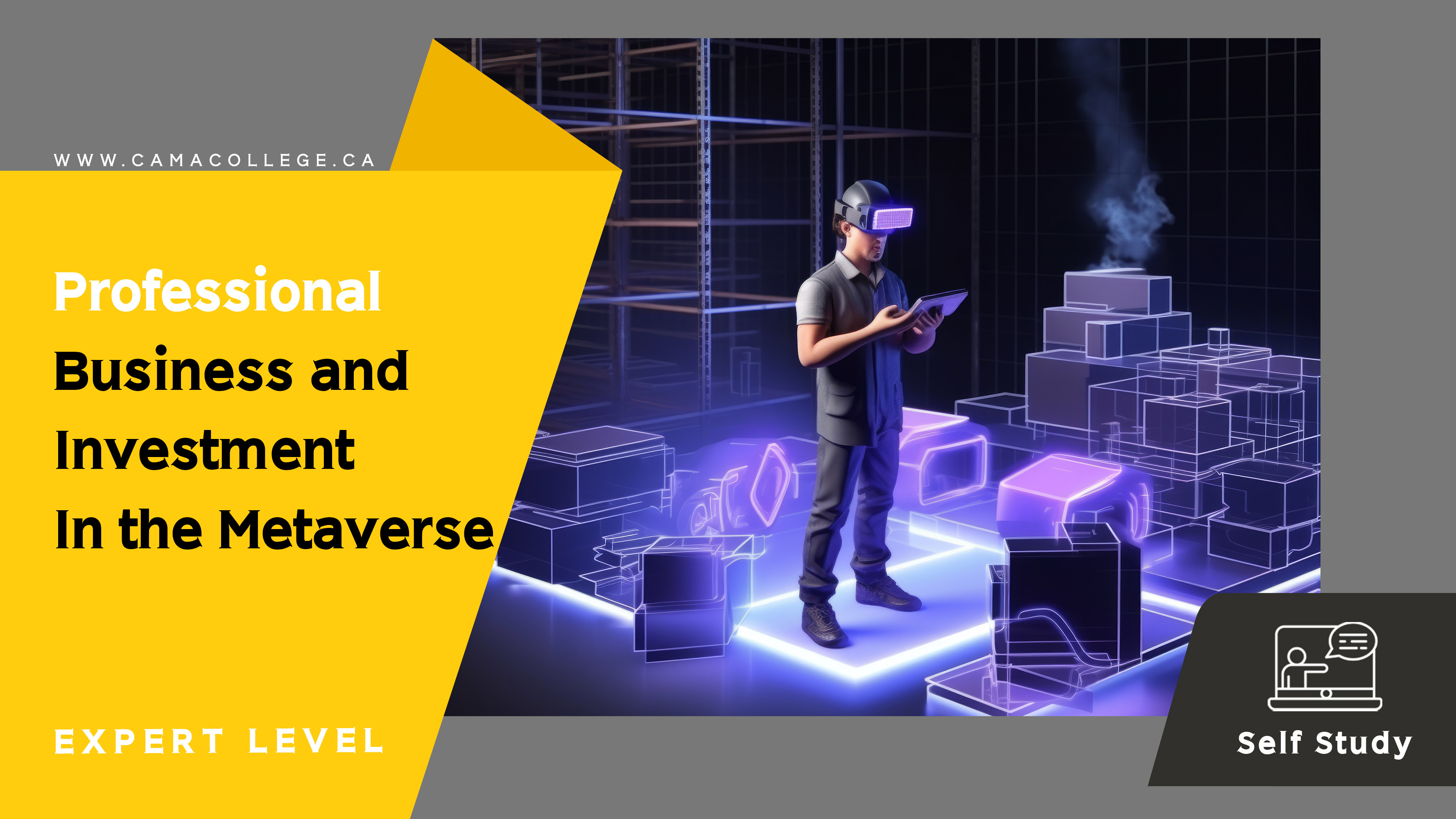 Professional-Business-and-Investment-In-the-Metaverse